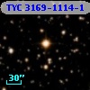 TYC 3169-1114-1