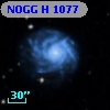 NOGG H 1077