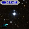 HD 239747