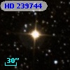 HD 239744