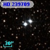 HD 239709