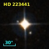 HD 223441