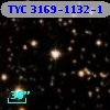 TYC 3169-1132-1