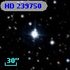 HD 239750