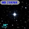 HD 239768