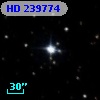 HD 239774