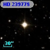 HD 239778