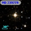 HD 239779