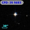 CPD-38  8603