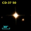 CD-37    50