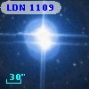LDN 1109