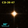 CD-39    47
