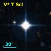V* T Scl