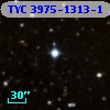 TYC 3975-1313-1