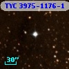 TYC 3975-1176-1