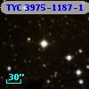 TYC 3975-1187-1