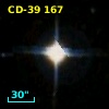 CD-39   167