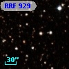 RRF  929