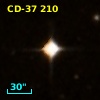 CD-37   210