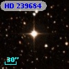 HD 239684
