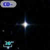 CD-39   231