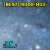[BL97] N300-H11