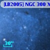 [LB2005] NGC   300 X1