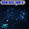 DDB NGC   300 1