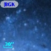 [BGK2002] B6