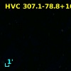 HVC 307.1-78.8+164