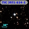 TYC 3971-614-1