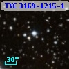 TYC 3169-1215-1