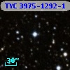 TYC 3975-1292-1