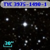 TYC 3975-1490-1