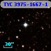 TYC 3975-1667-1