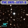 TYC 3975-1737-1