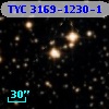 TYC 3169-1230-1