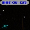 [EM96] COS-1260