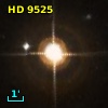 HR   445