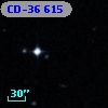 CD-36   615