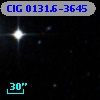 ClG 0131.6-3645