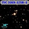TYC 3169-1250-1