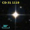 CD-31  1119