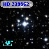HD 239862