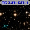 TYC 3169-1255-1