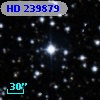 HD 239879