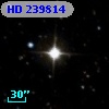 HD 239814