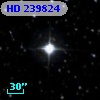 HD 239824