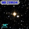 HD 239834