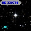 HD 239791